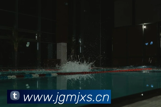 人人体育直播平台生态图