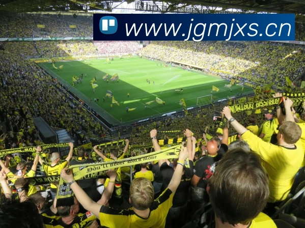 人人体育直播APP 封面图